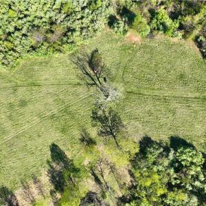 Photo #22 of 728 Indian, Henry, VA 19.8 acres