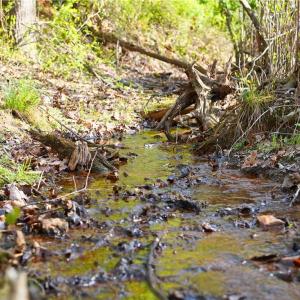Photo #3 of 728 Indian, Henry, VA 19.8 acres