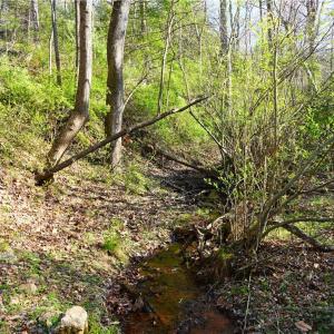 Photo #36 of 728 Indian, Henry, VA 19.8 acres