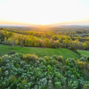 Photo #1 of 728 Indian, Henry, VA 19.8 acres
