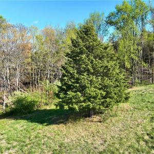 Photo #28 of 728 Indian, Henry, VA 19.8 acres