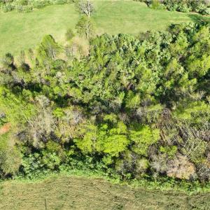 Photo #24 of 728 Indian, Henry, VA 19.8 acres