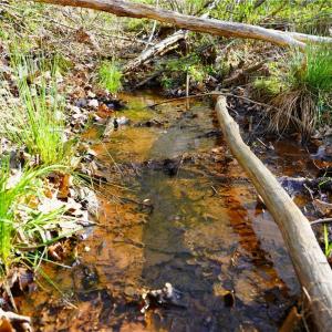Photo #30 of 728 Indian, Henry, VA 19.8 acres
