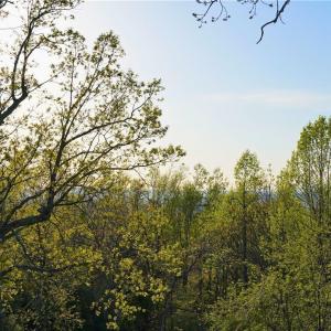 Photo #38 of 728 Indian, Henry, VA 19.8 acres