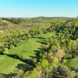 Photo #10 of 728 Indian, Henry, VA 19.8 acres