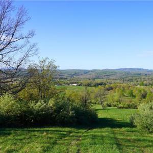 Photo #41 of 728 Indian, Henry, VA 19.8 acres