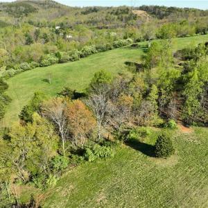 Photo #18 of 728 Indian, Henry, VA 19.8 acres
