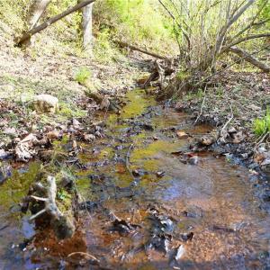 Photo #19 of 728 Indian, Henry, VA 19.8 acres