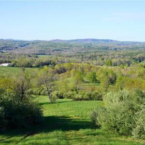 Photo #39 of 728 Indian, Henry, VA 19.8 acres