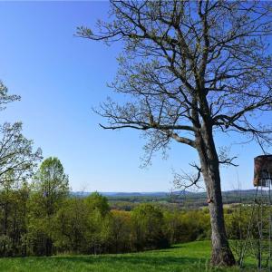 Photo #4 of 728 Indian, Henry, VA 19.8 acres