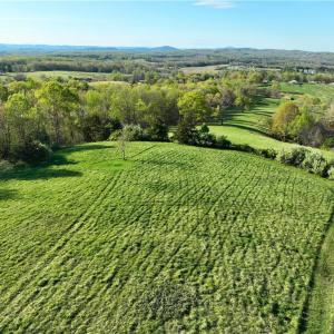 Photo #8 of 728 Indian, Henry, VA 19.8 acres
