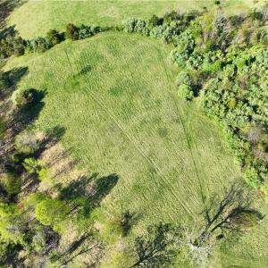 Photo #25 of 728 Indian, Henry, VA 19.8 acres