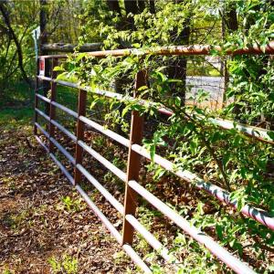 Photo #21 of 728 Indian, Henry, VA 19.8 acres