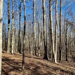 Photo #13 of 4056 Rolling Hill, Tobaccoville, NC 2.8 acres