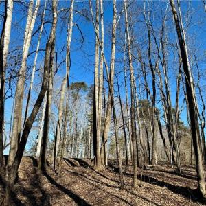 Photo #16 of 4056 Rolling Hill, Tobaccoville, NC 2.8 acres