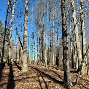 Photo #12 of 4056 Rolling Hill, Tobaccoville, NC 2.8 acres