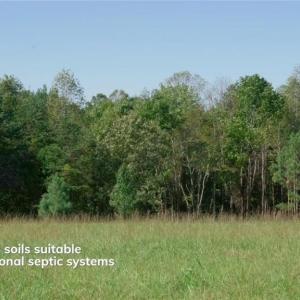Photo #26 of 4056 Rolling Hill, Tobaccoville, NC 2.8 acres