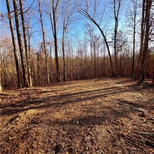 Photo #5 of 4056 Rolling Hill, Tobaccoville, NC 2.8 acres