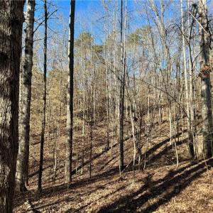 Photo #9 of 4056 Rolling Hill, Tobaccoville, NC 2.8 acres