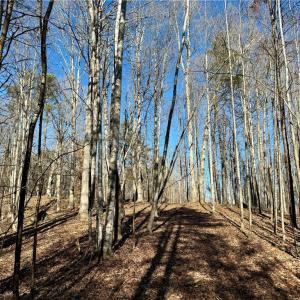 Photo #10 of 4056 Rolling Hill, Tobaccoville, NC 2.8 acres