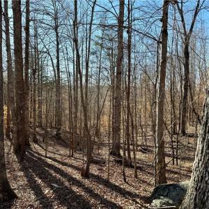 Photo #11 of 4056 Rolling Hill, Tobaccoville, NC 2.8 acres