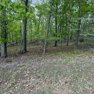 Photo #1 of 266 Rocky Cove, Denton, NC 1.3 acres