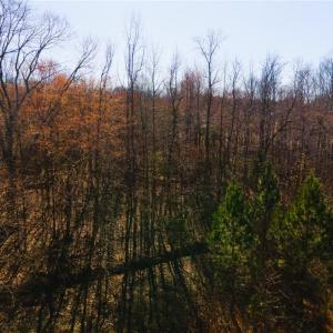 Photo #17 of Twinwood, Trinity, NC 1.0 acres