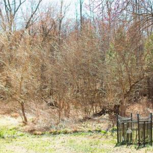 Photo #9 of Twinwood, Trinity, NC 1.0 acres