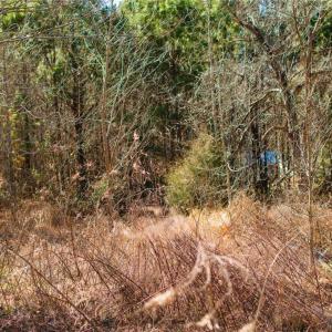 Photo #10 of Twinwood, Trinity, NC 1.0 acres