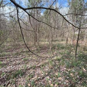 Photo #8 of Twinwood, Trinity, NC 1.0 acres
