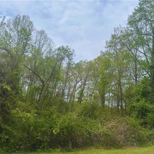 Photo #1 of 132 White Oak, Thomasville, NC 0.6 acres