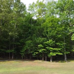 Photo #13 of Lot 12 Johns Ridge, Asheboro, NC 0.5 acres