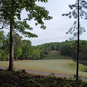 Mature trees offer shade but open enough to enjoy the sunrise over the lake.