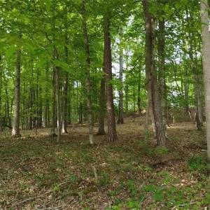 Photo #6 of Lot 12 Johns Ridge, Asheboro, NC 0.5 acres