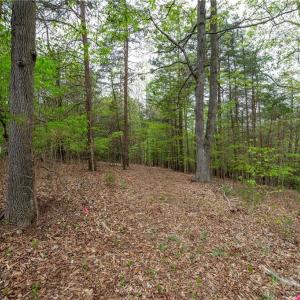 Photo #6 of 8397 Tuscany, Lewisville, NC 3.8 acres