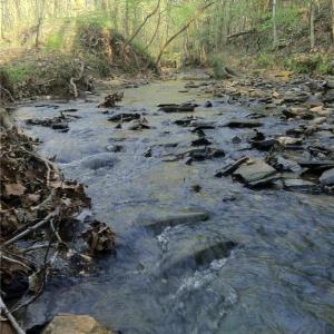 Photo #13 of 8397 Tuscany, Lewisville, NC 3.8 acres