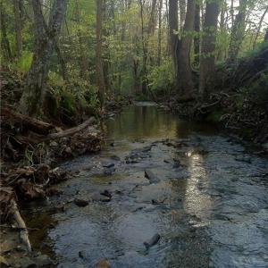 Photo #12 of 8397 Tuscany, Lewisville, NC 3.8 acres