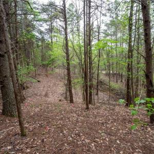 Photo #7 of 8397 Tuscany, Lewisville, NC 3.8 acres