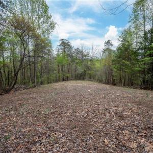 Photo #9 of 8397 Tuscany, Lewisville, NC 3.8 acres