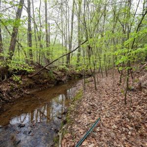 Photo #10 of 8397 Tuscany, Lewisville, NC 3.8 acres