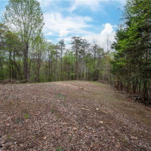 Photo #8 of 8397 Tuscany, Lewisville, NC 3.8 acres