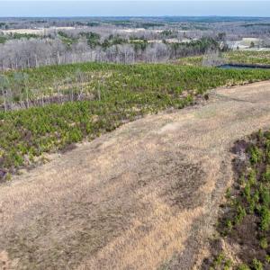 Photo #23 of 14974 NC Highway 86, Prospect Hill, NC 53.5 acres