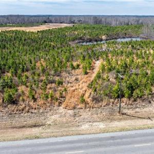 Photo #6 of 14974 NC Highway 86, Prospect Hill, NC 53.5 acres