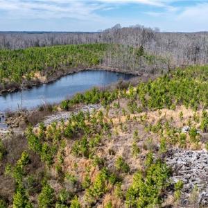 Photo #13 of 14974 NC Highway 86, Prospect Hill, NC 53.5 acres