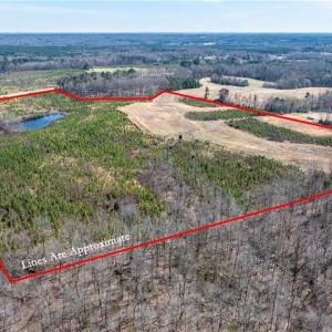 Photo #3 of 14974 NC Highway 86, Prospect Hill, NC 53.5 acres