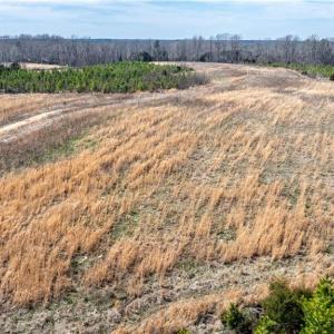 Photo #19 of 14974 NC Highway 86, Prospect Hill, NC 53.5 acres