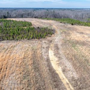 Photo #17 of 14974 NC Highway 86, Prospect Hill, NC 53.5 acres