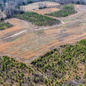 Photo #16 of 14974 NC Highway 86, Prospect Hill, NC 53.5 acres
