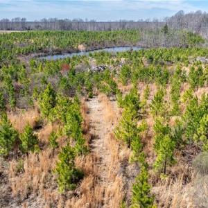 Photo #12 of 14974 NC Highway 86, Prospect Hill, NC 53.5 acres