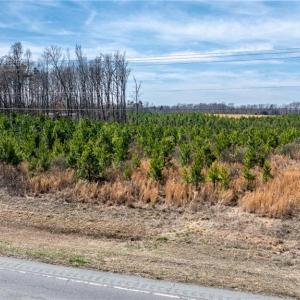 Photo #5 of 14974 NC Highway 86, Prospect Hill, NC 53.5 acres